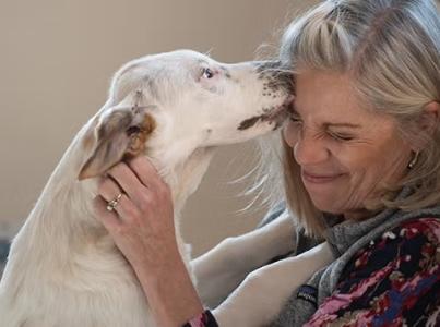 Volunteer smiling at dog kissing her