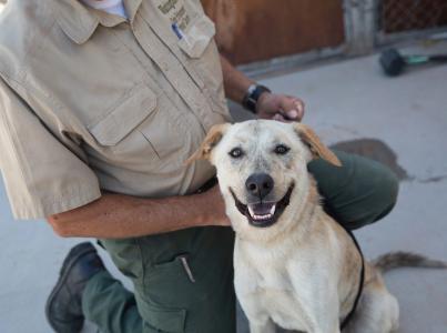 Man kneeling holding dog