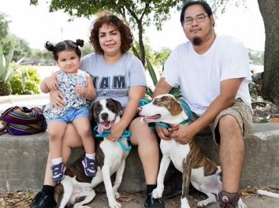 Family sitting outside with their two dogs.