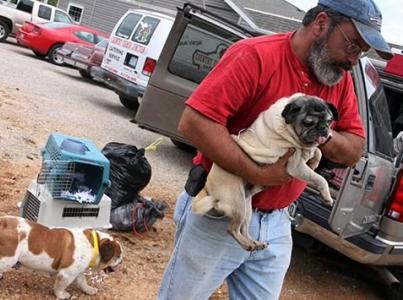 Volunteer holding dog