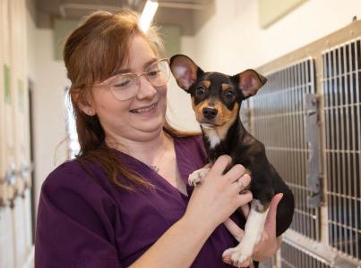 Woman in scrubs holding dog in shelter.