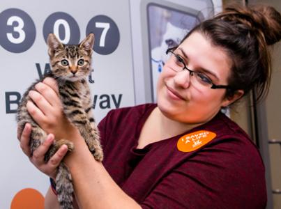Smiling person holding tiny kitten