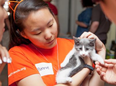 Volunteer holding a kitten