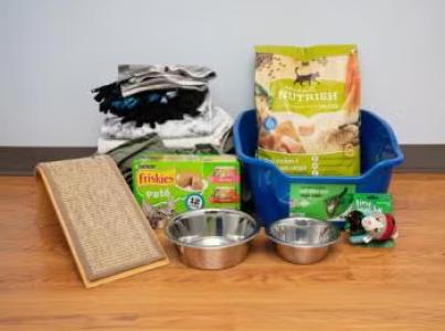 collection of community cat supplies on floor