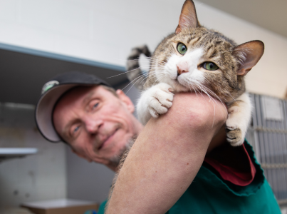 Man with cat resting on the back of his arm at a shelter