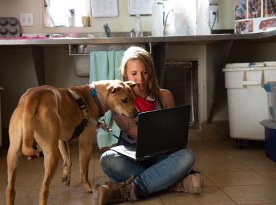 Woman sitting on ground with laptop, pointing out something on the screen to a brown dog