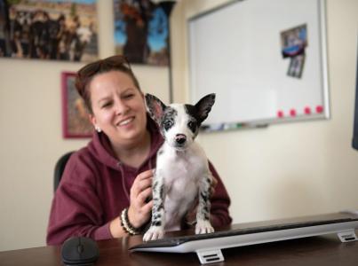 Small white and black dog sitting on woman's lap looking at camera