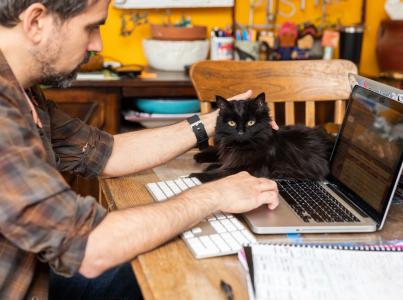 Man petting a black cat while working on a computer