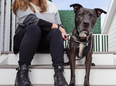 big dog sitting on porch with woman