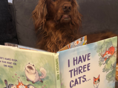 goofy brown dog behind the book I Have Three Cats 