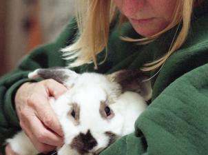 Woman holding large white and gray bunny