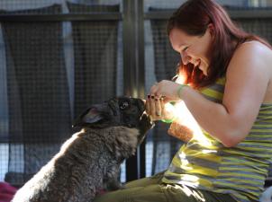 Woman feeding large brown rabbit