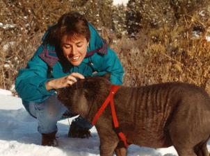 Woman petting Mollie the pig in the snow