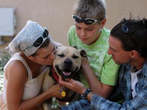 Three people who are adopting Handsome Dan the Vicktory dog, petting him