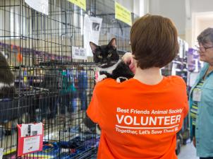 Person wearing a Best Friends shirt with a cat over her shoulder at a super adoption event