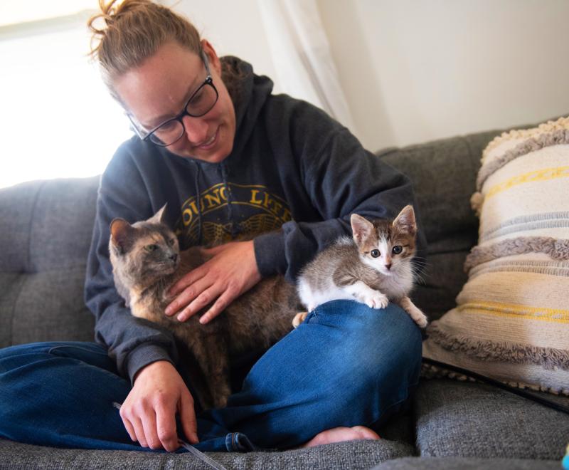 Person sitting on a couch with a cat and kitten