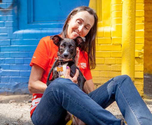 Person sitting with an adoptable dog on the curb in SoHo in New York City