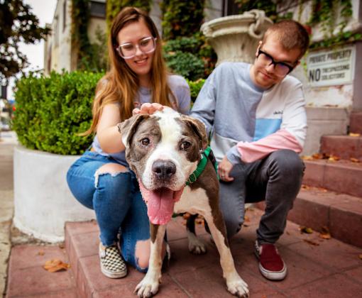 Two smiling people sitting with a happy dog outside on a front step