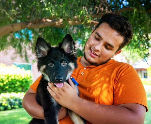 Person holding a puppy outside in the shade of a tree