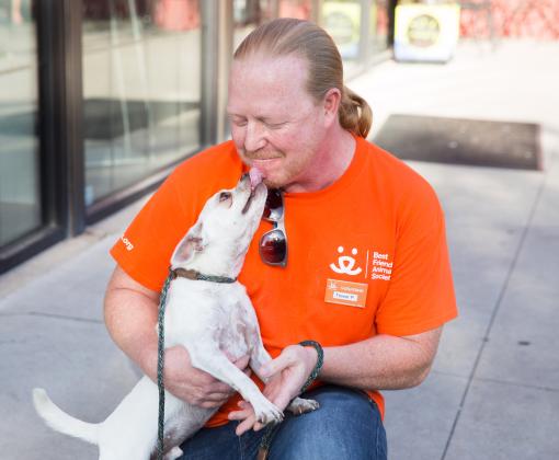 Person wearing a Best Friends orange T-shirt being kissed on the face by a small white dog