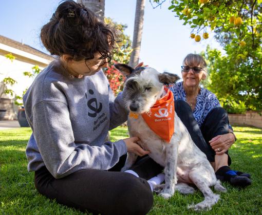 Two happy people sitting on a lawn petting a dog