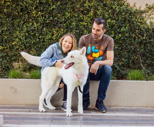 Two smiling people sitting with a dog outside