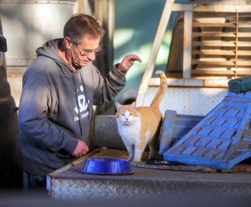 Person caring for a cat outdoors