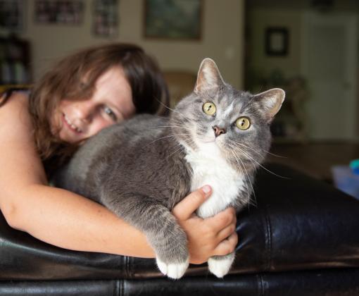 Child hugging a gray and white cat in a home