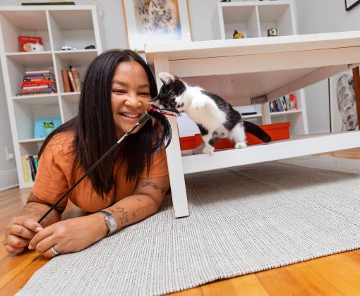 Person playing with a tiny kitten in a home