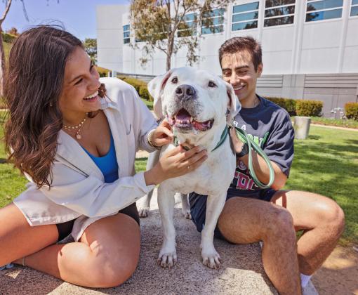 A white pit-bull-type dog with two people smiling and holding him