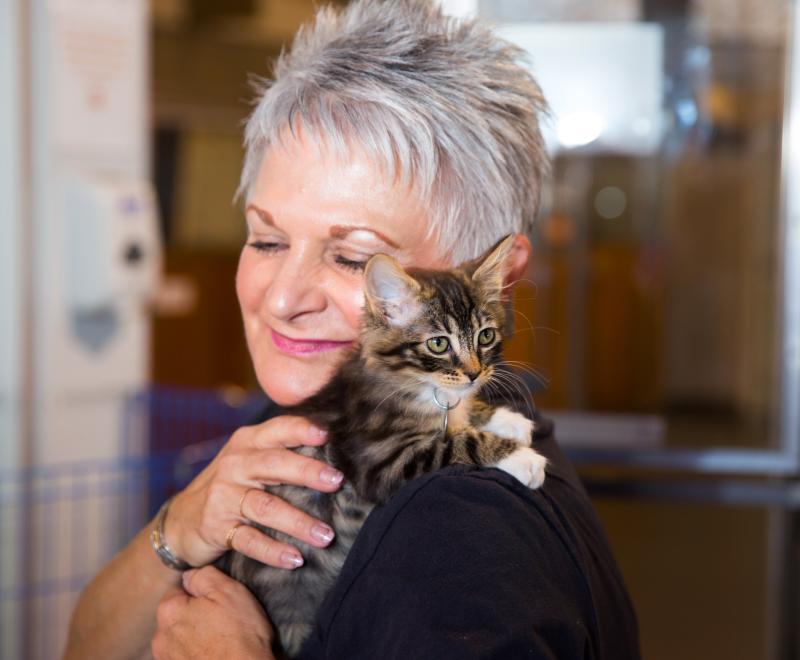 Tiny kitten resting on the shoulder of a smiling person holding them