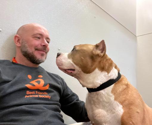 Volunteer David Sprague wearing a Best Friends T-shirt and looking eye-to-eye with a dog with cropped ears