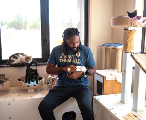 Person sitting down surrounded by kittens and holding one in his arms
