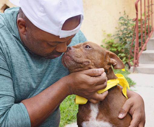 Person wearing a hat hugging a brown and white dog