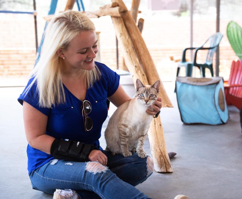 Person sitting in a screened in patio with a cat at Cat World