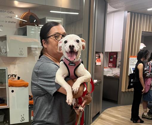 Person holding a happy white dog at the Best Friends Lifesaving Center in New York City