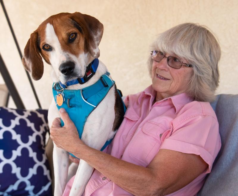 Person sitting with a dog on a couch