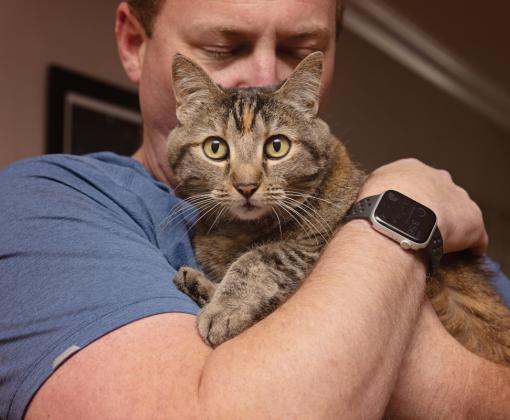 Man hugging a tabby cat