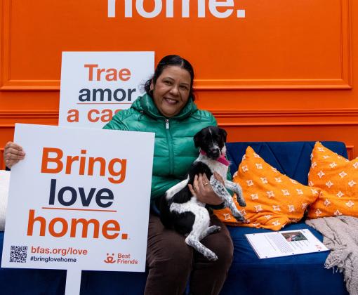 Person and dog on a couch with person holding a sign that says, "Bring love home."