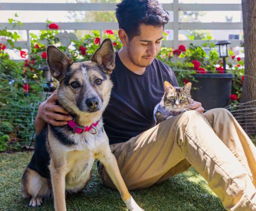 Person sitting in the grass with a small cat in their lap and dog by their side