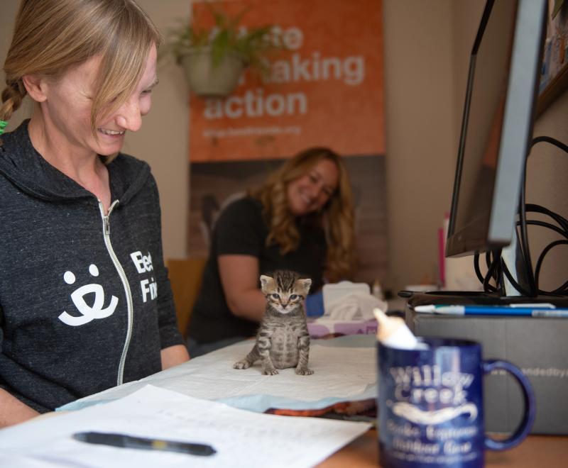 One of the dragon kittens on a pad on a desk while Kat and Erin the caregivers smile