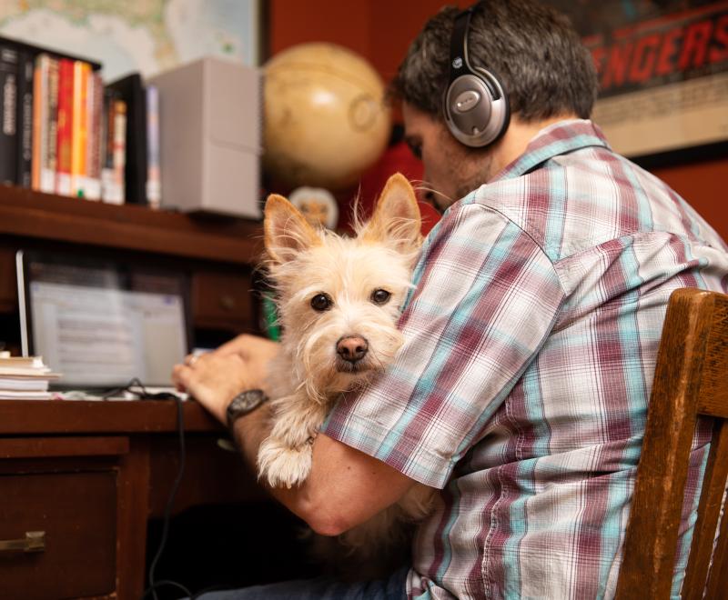 Person working at home at a desk while sitting with a dog