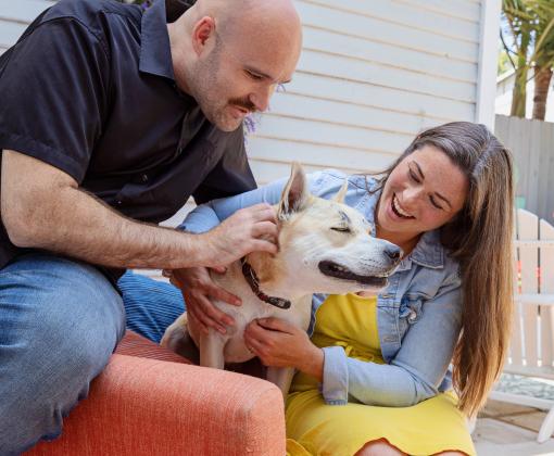 Smiling people relaxing on a patio chair with a dog between them