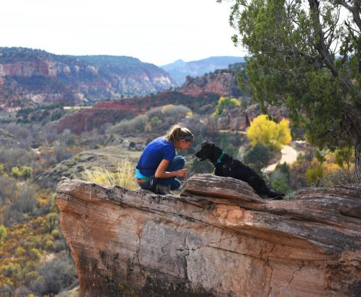Person on a hike with a dog overlooking a Utah canyon
