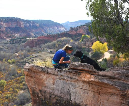 Person on a hike with a dog overlooking a Utah canyon