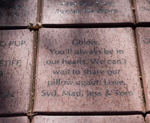 Pet memorial brick at Angels Rest at Best Friends Animal Sanctuary in Southern Utah