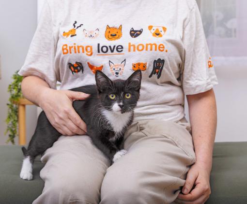 Person wearing a Bring Love Home T-shirt with a kitten in their lap