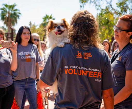 Person wearing a volunteer T-shirt with a dog on the person's shoulder, while another person takes a photo