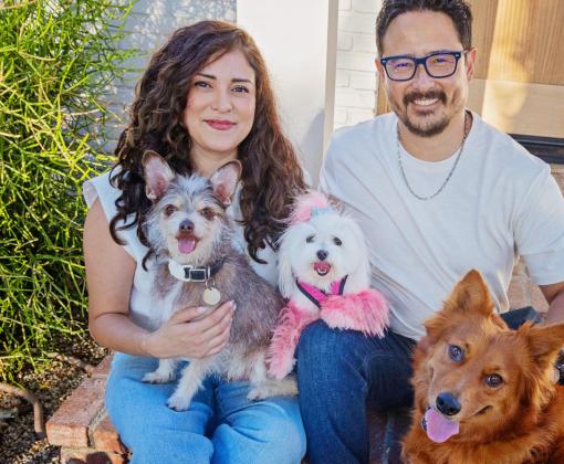 Two people sitting outside with three dogs
