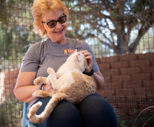 Volunteer sitting and petting a cat in her lap